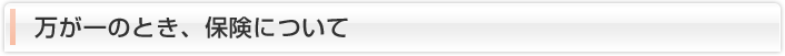 万が一のとき、保険について
                  